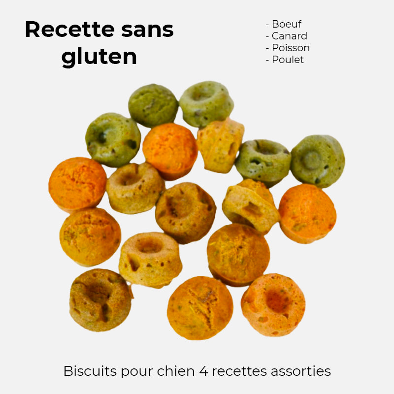 friandise pour chien crocandiz