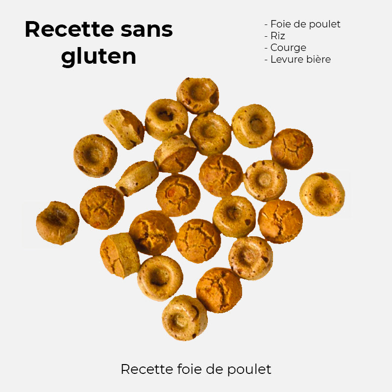 Friandise pour chien crocandiz