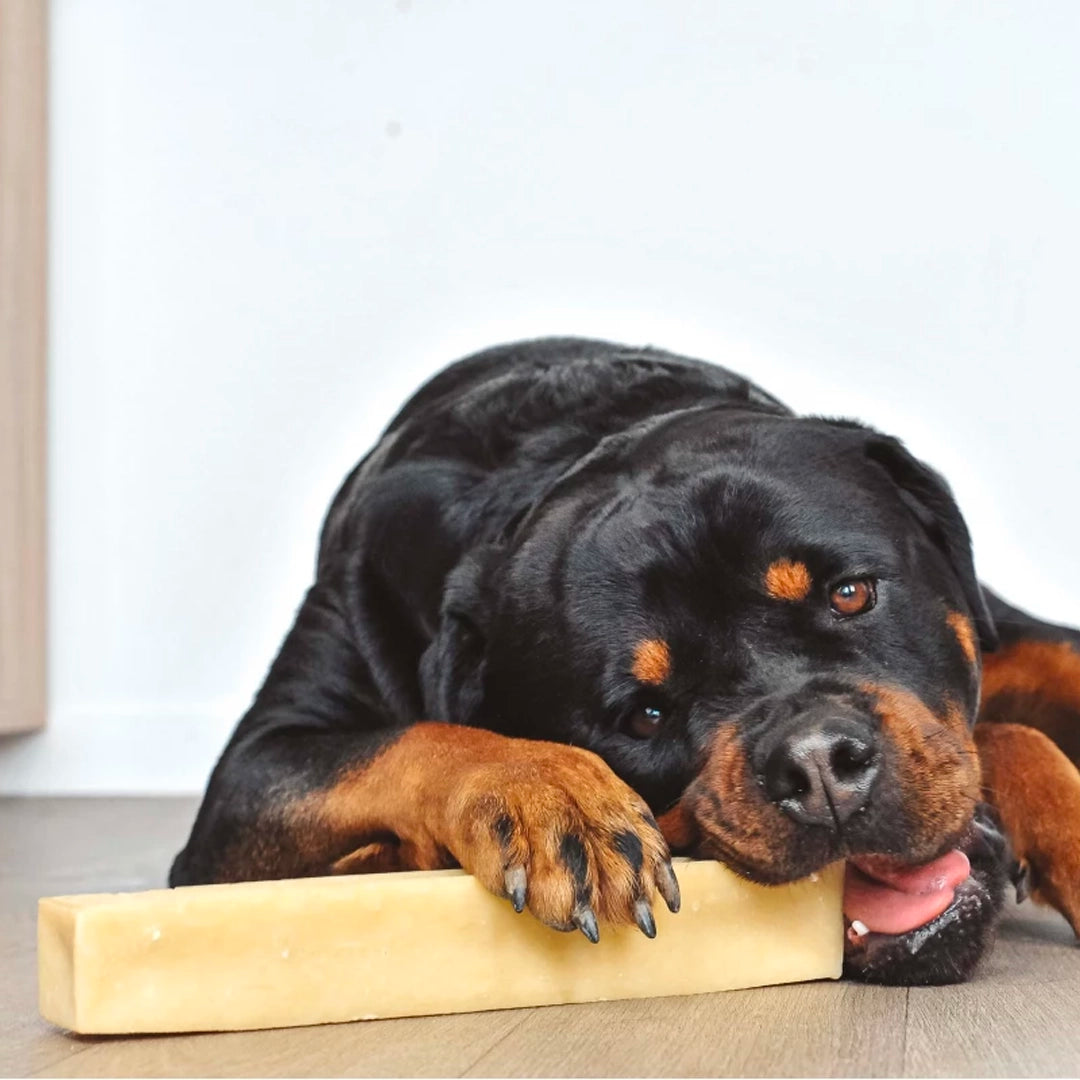 MAXI Bâtonnet de fromage 30cm