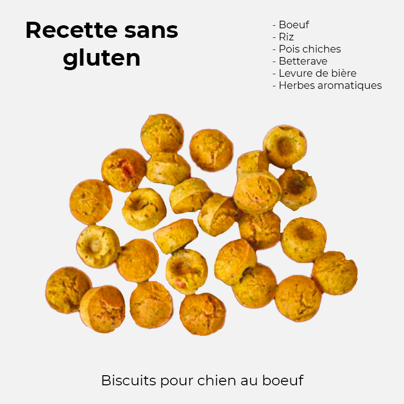 friandise pour chien crocandiz