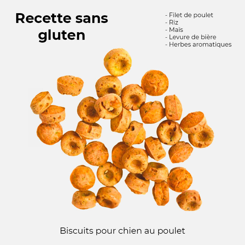 friandise pour chien crocandiz