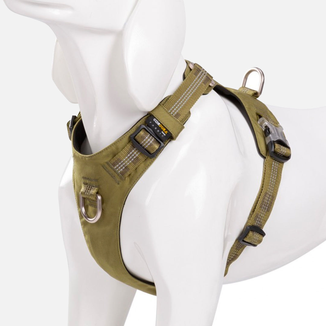 harnais chien anti traction