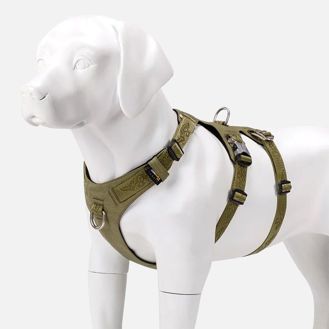 harnais chien anti traction