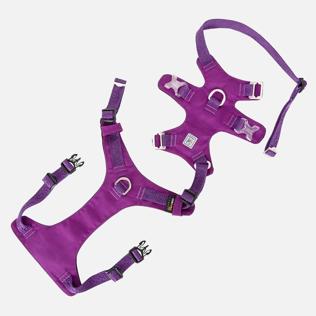 harnais chien anti traction