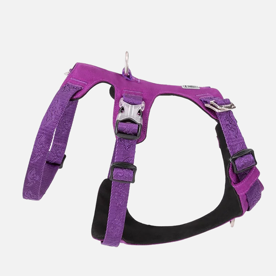 harnais chien anti traction