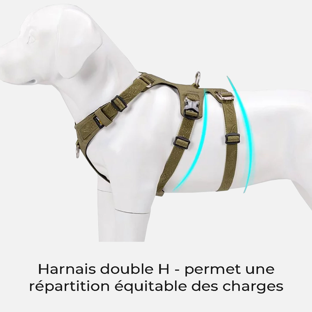 harnais chien anti traction