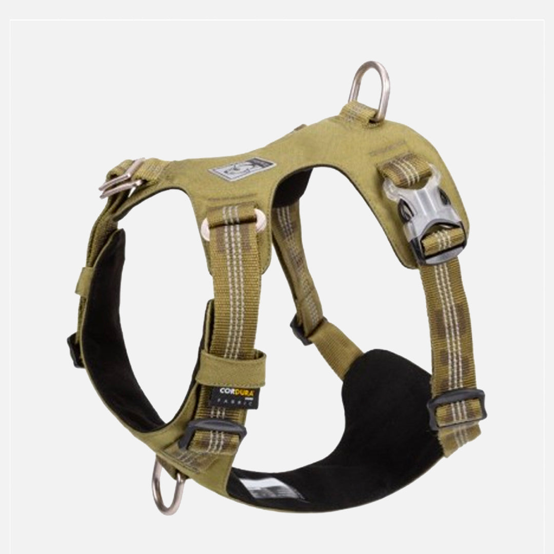harnais chien anti traction