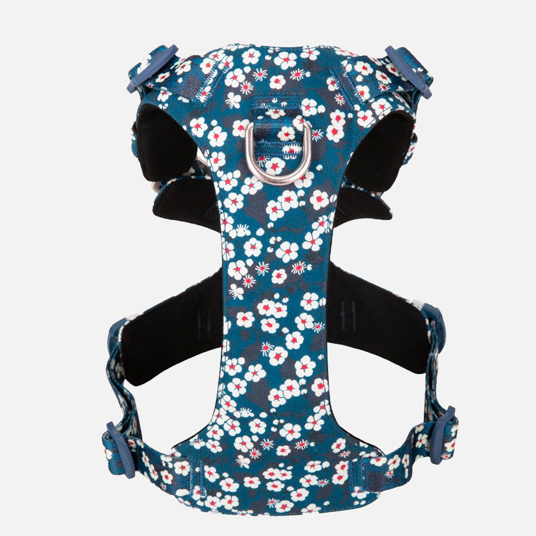 Harnais pour chien true love anti traction