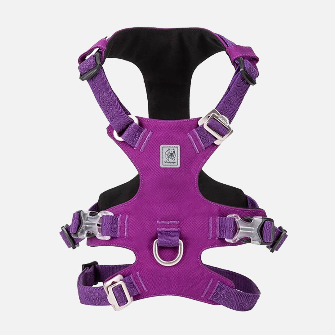 harnais chien anti traction