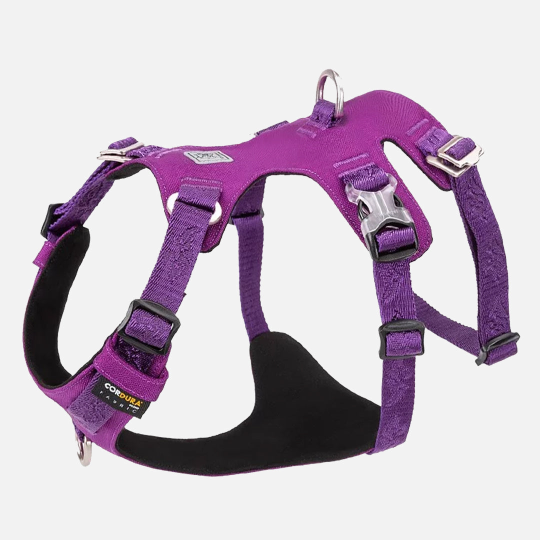 harnais chien anti traction