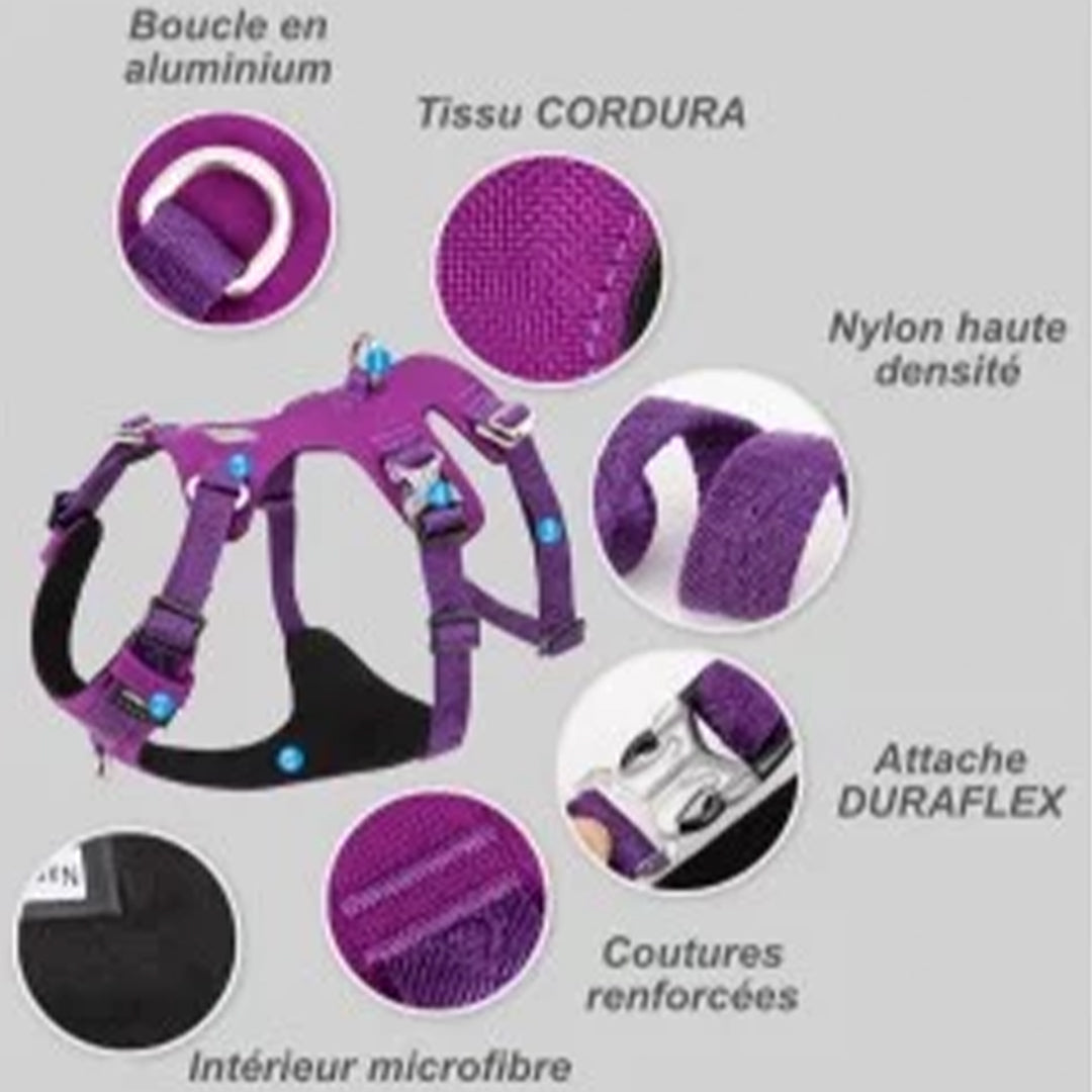 harnais chien anti traction