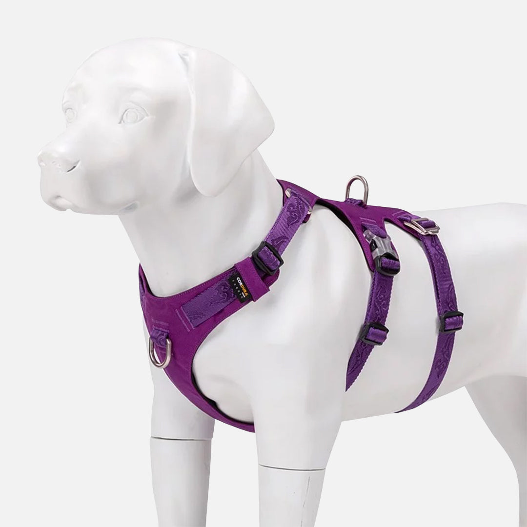 harnais chien anti traction