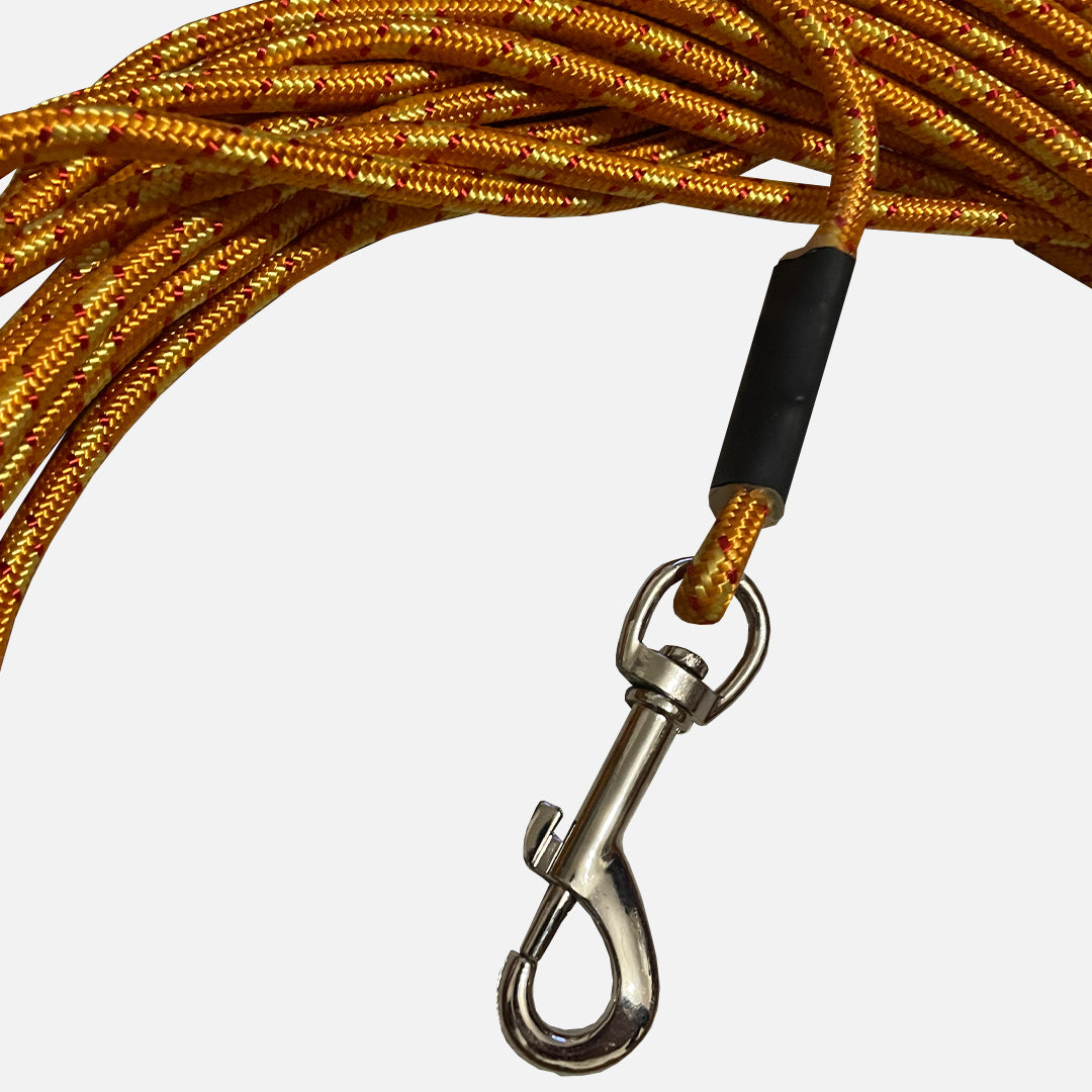 laisse pour chien