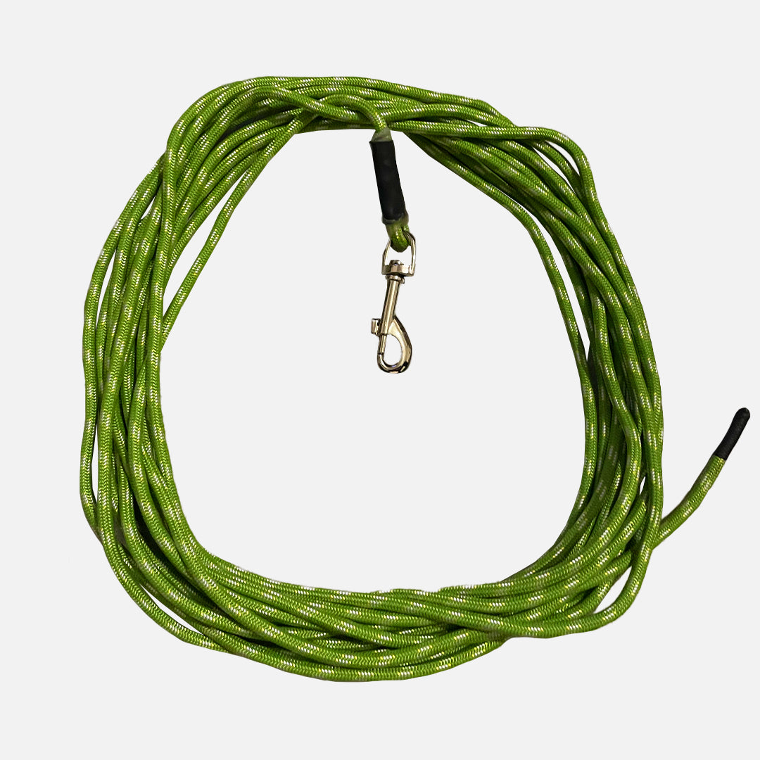 laisse pour chien