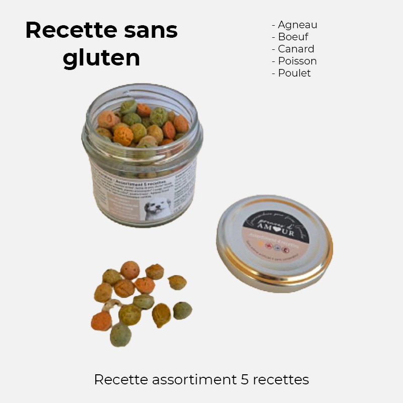 Friandise pour chien crocandiz