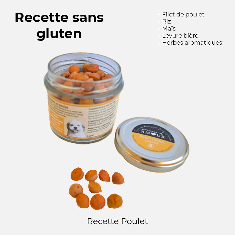 Friandise pour chien crocandiz