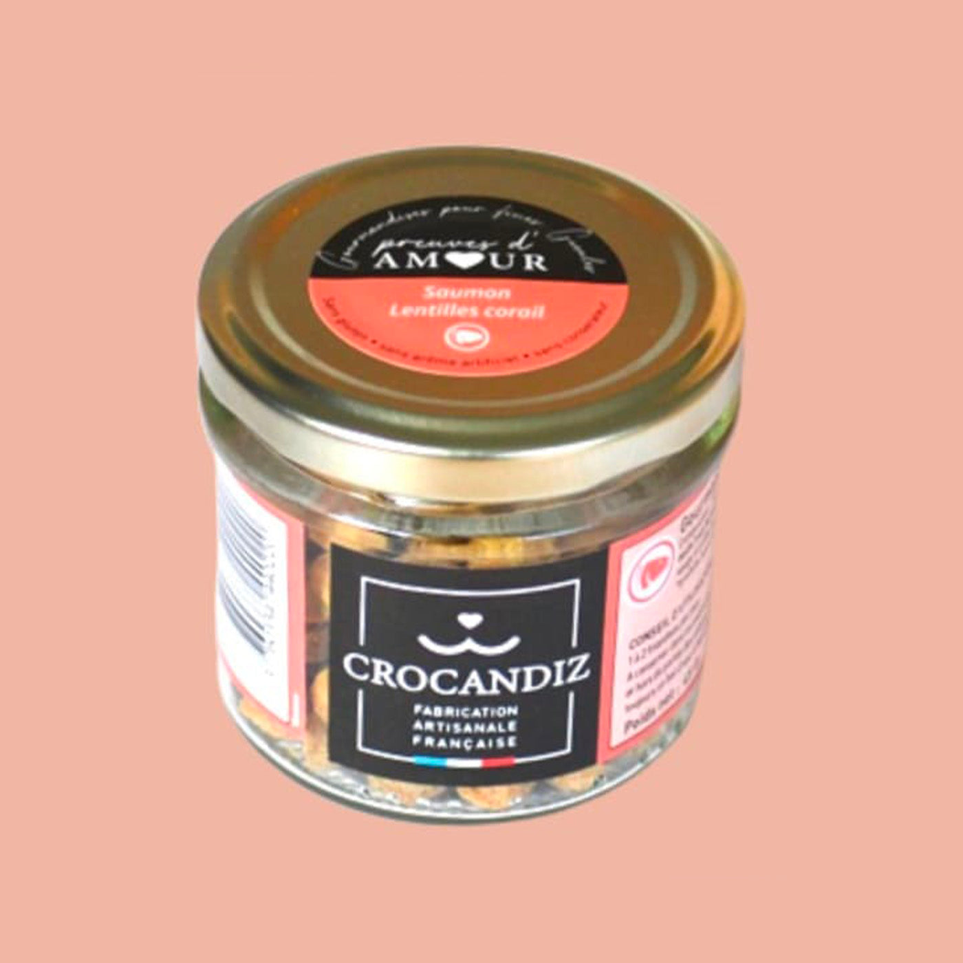 Friandise pour chien au saumon crocandiz