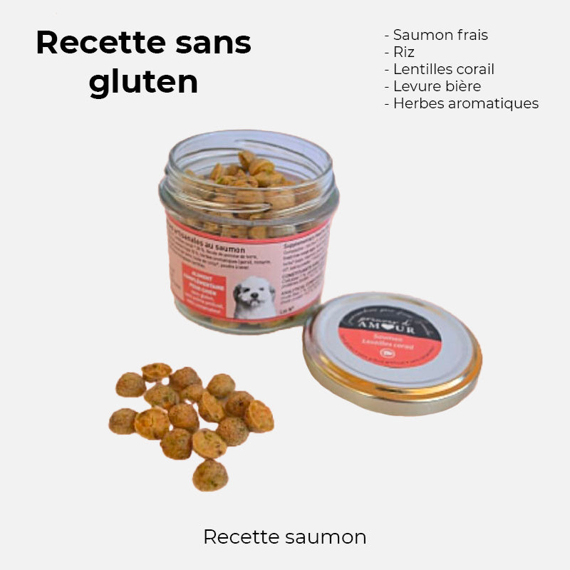 Friandise pour chien au saumon crocandiz